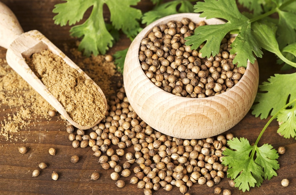 Coriander Seeds